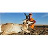 Image 1 : 3-Day Colorado Pronghorn Hunt for 1 Hunter