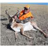 Image 2 : 5-day Wyoming Pronghorn Antelope and Whitetail Deer Hunt for 1 Hunter