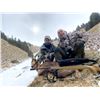 Image 2 : 4-day Spain Pyrenean Chamois Hunt for 1 Hunter and 1 Observer