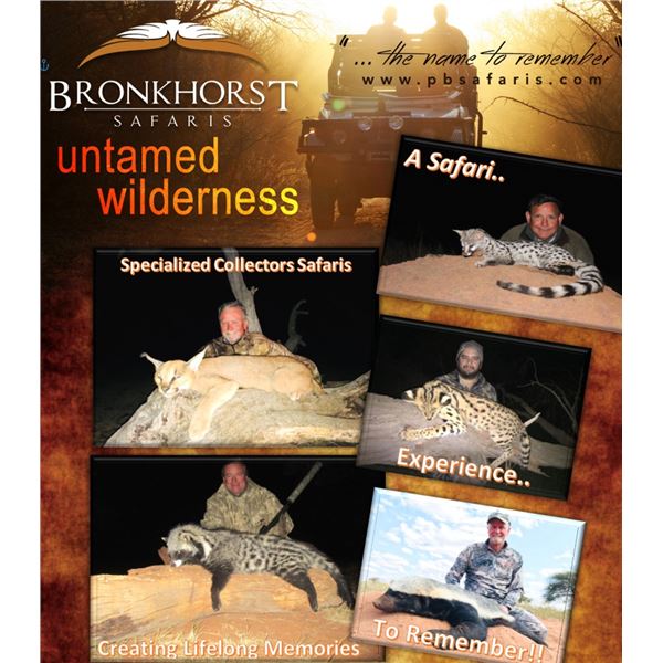 10-Day South Africa Small Cat and Predator Hunt for 1 Hunter and 1 Observer