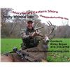 Image 1 : 5-Day Maryland’s Eastern Shore Whitetail Deer Hunt for 2 Hunters