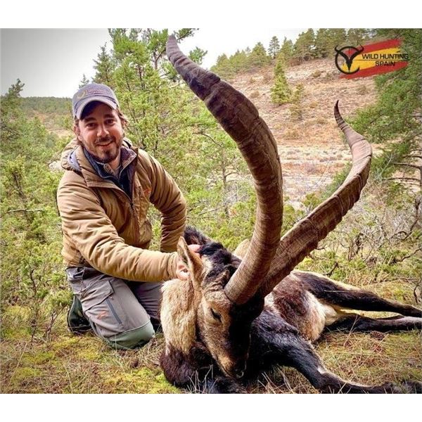 WILD HUNTING SPAIN: Barcelona, Spain