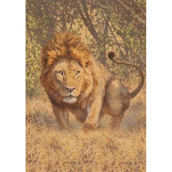 JARVI STUDIOS: Cohasset, Minnesota