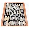 Image 3 : Large Collection of Prehistoric Stone Arrowheads
