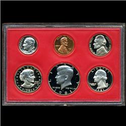 1981 US Proof Set Super Gem Coins UNSEARCHED  EST: $100 - $7500 (COI-2481)