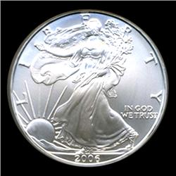 2006 Silver Eagle Graded GEM MS70 EST: $100 - $500 (COI-4070)