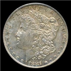 1881S/S Morgan Dollar Choice BU RARE Variety (COI-4528)
