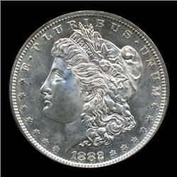 1882S Morgan Dollar Choice BU RARE Variety (COI-4522)