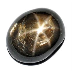 4.98ct  Oval Cabochon Black Star Sapphire (GEM-9106)