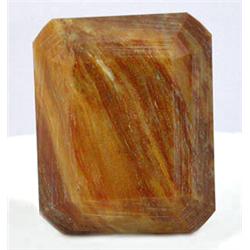 61.91ct Fossilized Wood Stone Square Octagon (GEM-9179)