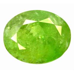 8.68ct  Dazzling AAA Horsetail Green Demantoid Garnet (GEM-9947)