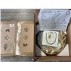 Image 1 : *NEW* Lot of 2 LED Ceiling Lights w/ Green Acrylic & Wood Antler Design