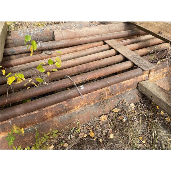 Texas Gate , Cattle Guard