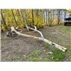 Image 2 : Boat Trailer, Needs tires