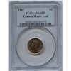 Image 1 : 1947 One Cent Maple Leaf - Specimen