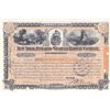 Image 1 : New York, Ontario and Western Railway Company Stock Certificate (1905)