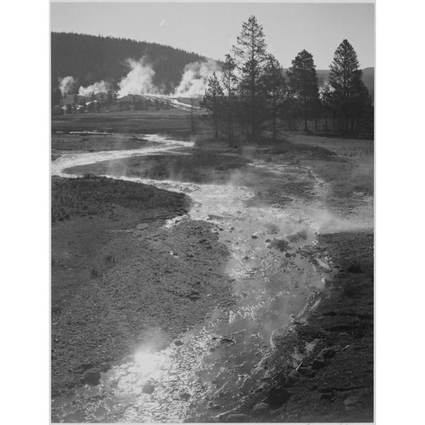 Adams - Central Geyser Basin, Yellowstone National Park, Wyoming