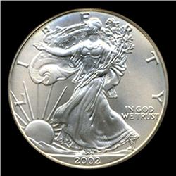2002 Silver Eagle Graded GEM MS70 (COI-4069)