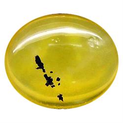 3.75ct Stunning Dendrite Moss Opal  EST: $400 - $1200 (GEM-9515)