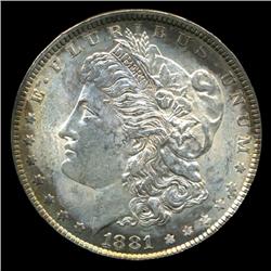 1881 Morgan Dollar Choice BU Scarce Variety (COI-4531)