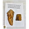 Image 1 : 2 X DINOSAUR BONES