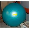 Image 1 : EXERCISE BALL