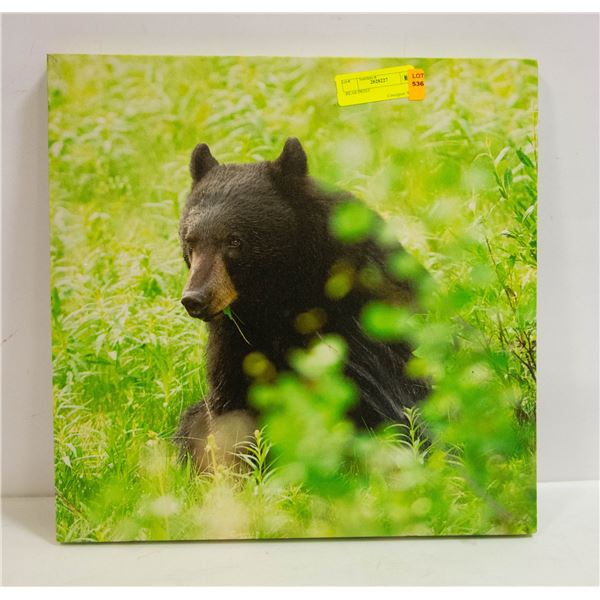 BEAR PRINT APPROX 16  X 16 