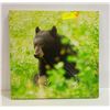 Image 1 : BEAR PRINT APPROX 16" X 16"