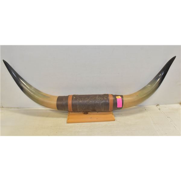 SET OF MOUNTED BULL HORNS
