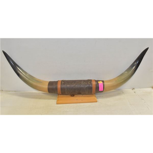 SET OF MOUNTED BULL HORNS