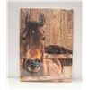 Image 1 : HORSE CANVAS WALL HANGING