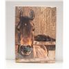 HORSE CANVAS WALL HANGING