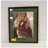 Image 1 : FRAMED GOPHER WALL HANGING 16" X 19"