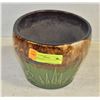 Image 1 : PLANTING POT