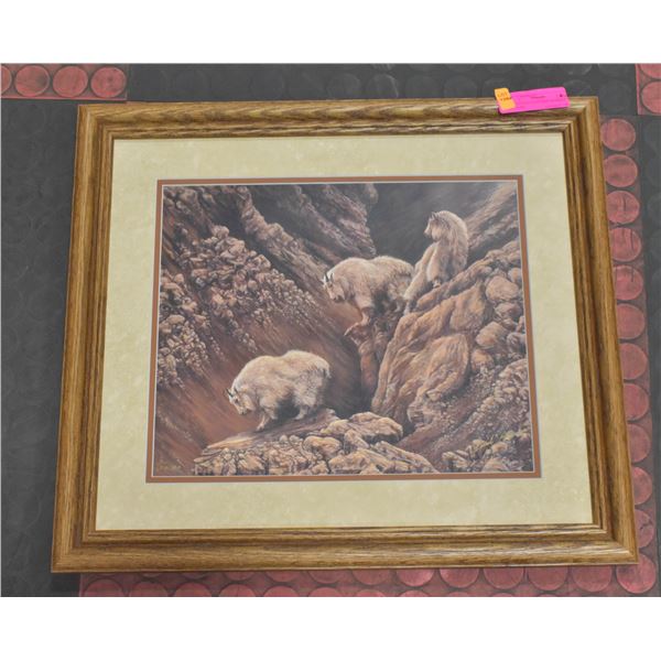 MOUNTAIN GOAT OAK FRAMED PICTURE