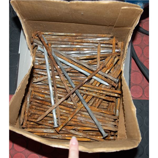 BOX 8 INCH SPIKES