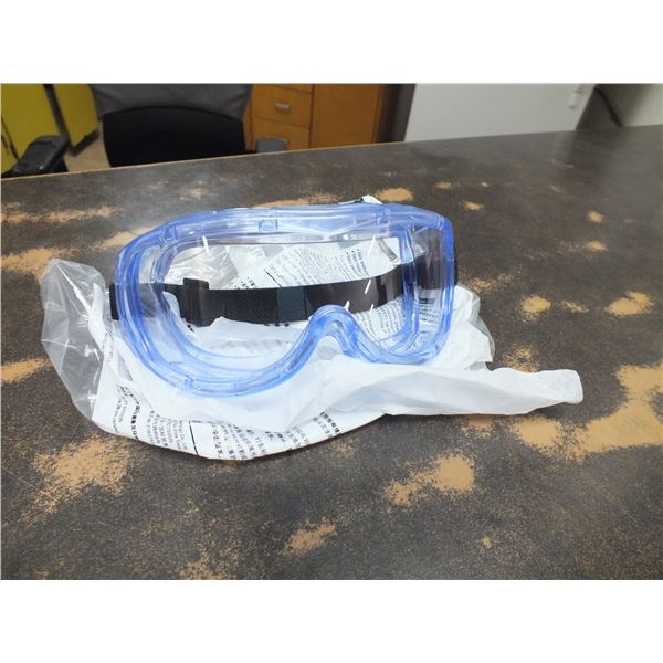 100 Safety Goggles