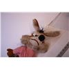 Image 3 : Wile E. Coyote Plush