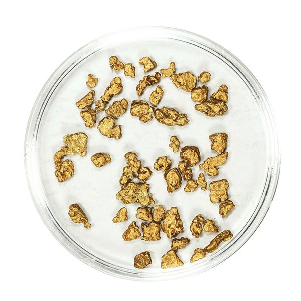 Lot of Gold Nuggets 3.50 Grams Total Weight