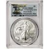 Image 1 : 2021-(P) Type 1 $1 American Silver Eagle Coin PCGS MS69 First Strike Emergency Issue