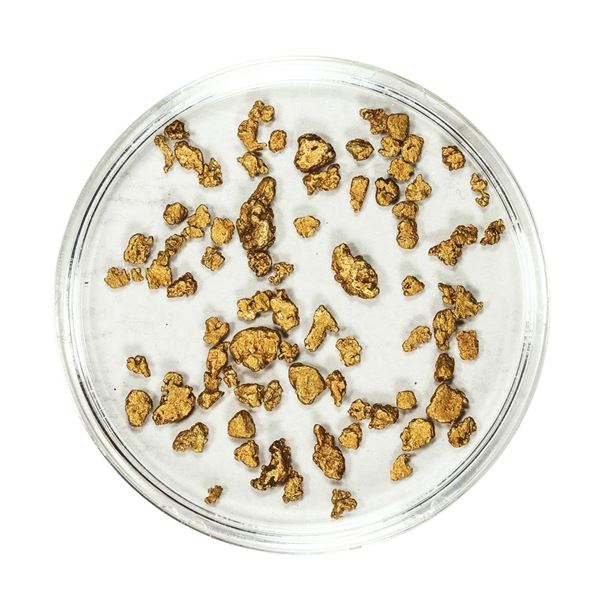 Lot of Gold Nuggets 2.93 Grams Total Weight