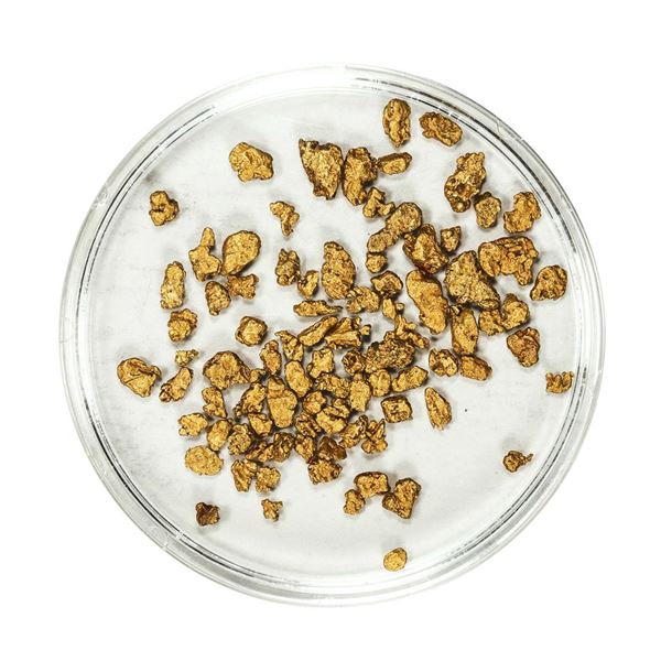 Lot of Gold Nuggets 3.88 Grams Total Weight
