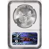 Image 2 : 2015 $1 American Silver Eagle Coin NGC MS70 Early Releases