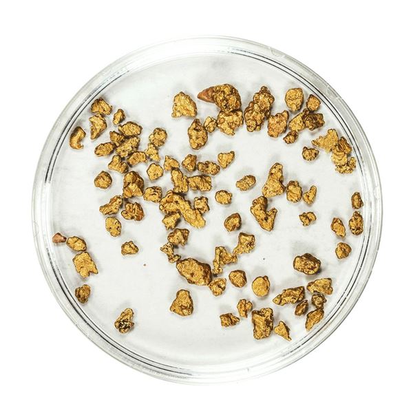 Lot of Gold Nuggets 3.03 Grams Total Weight
