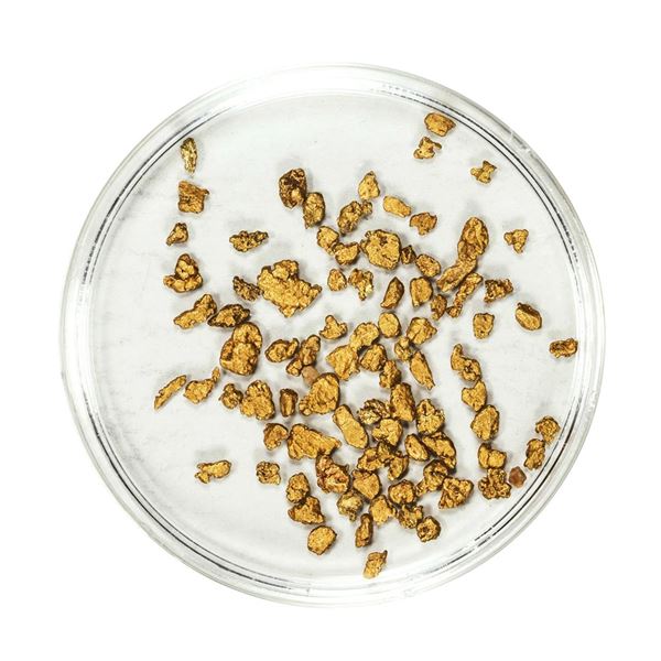 Lot of Gold Nuggets 2.54 Grams Total Weight