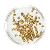 Image 1 : Lot of Gold Nuggets 2.54 Grams Total Weight