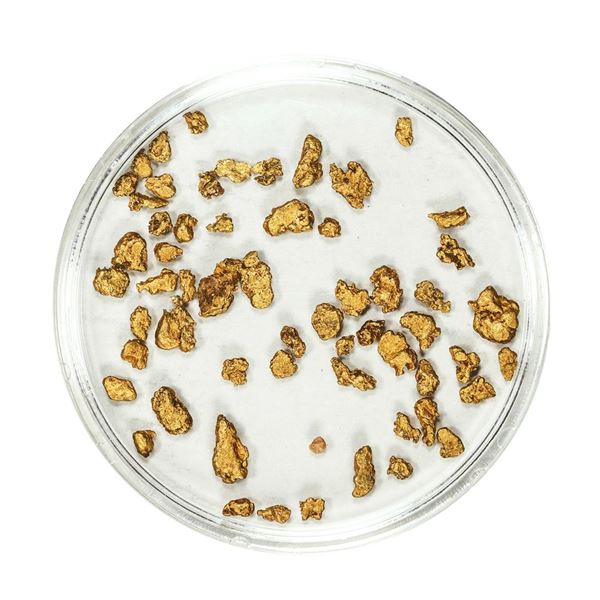 Lot of Gold Nuggets 2.82 Grams Total Weight