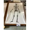 Image 2 : 2 SKELETON FRAMED MEDICAL PICTURES