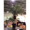 Image 3 : 58"X 30"X 16" CUBBY SHELF AND FAUX PALM TREE PLANT