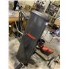 Image 2 : CYBEX VR1 MULTI PRESS MACHINE